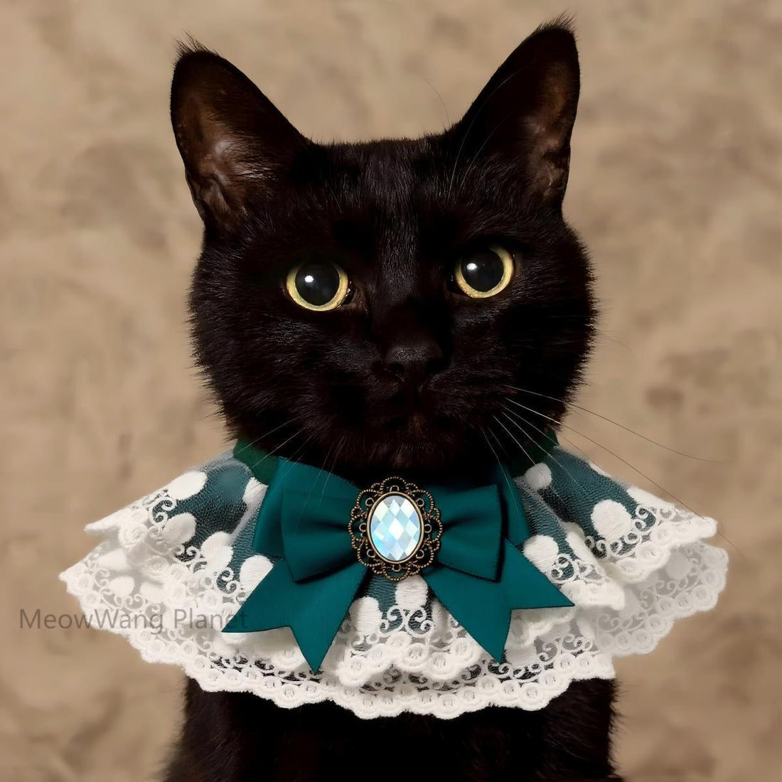 Lace Trimmed Pet Collar Bib Elegant Neck Accessory For Cats Small Dogs Luxury Pet Gift