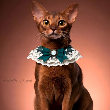 Lace Trimmed Pet Collar Bib Elegant Neck Accessory For Cats Small Dogs Luxury Pet Gift