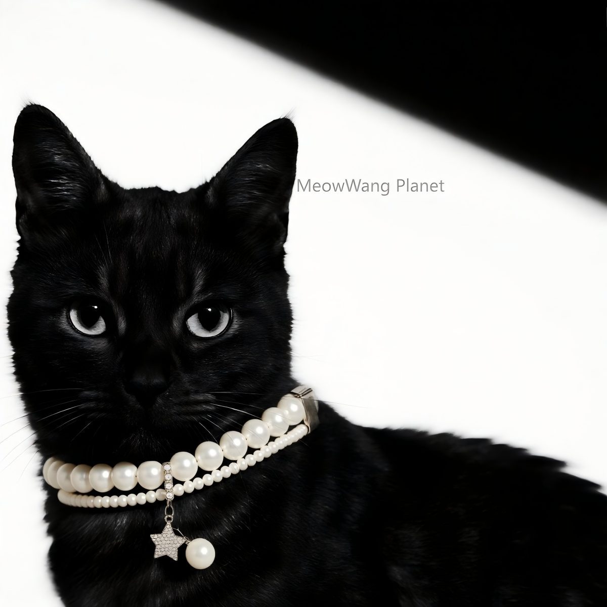 Dog Cat Collar Elegant Pearl Pet Collar Minimalist Adjustable Neck Accessory For Small Medium Dogs Cats Durable Comfortable Stylish Luxury Pet Gift For Cats Dogs