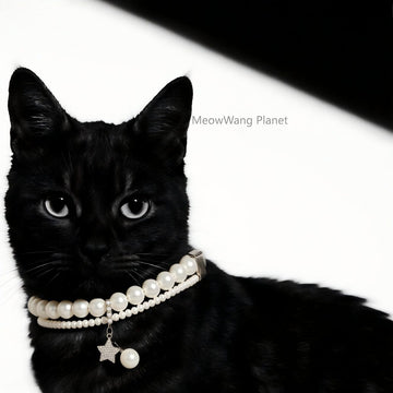 Dog Cat Collar Elegant Pearl Pet Collar Minimalist Adjustable Neck Accessory For Small Medium Dogs Cats Durable Comfortable Stylish Luxury Pet Gift For Cats Dogs