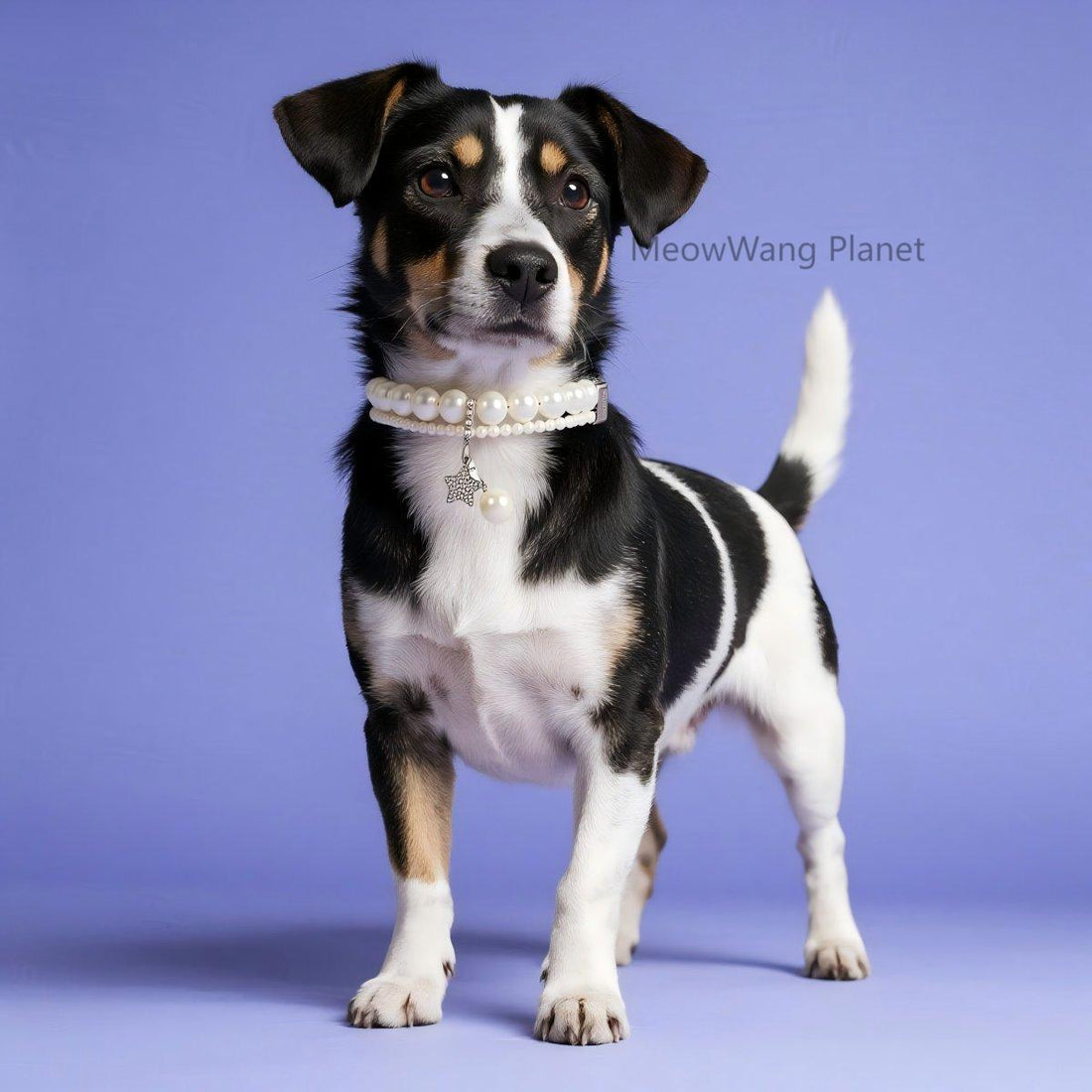 Dog Cat Collar Elegant Pearl Pet Collar Minimalist Adjustable Neck Accessory For Small Medium Dogs Cats Durable Comfortable Stylish Luxury Pet Gift For Cats Dogs