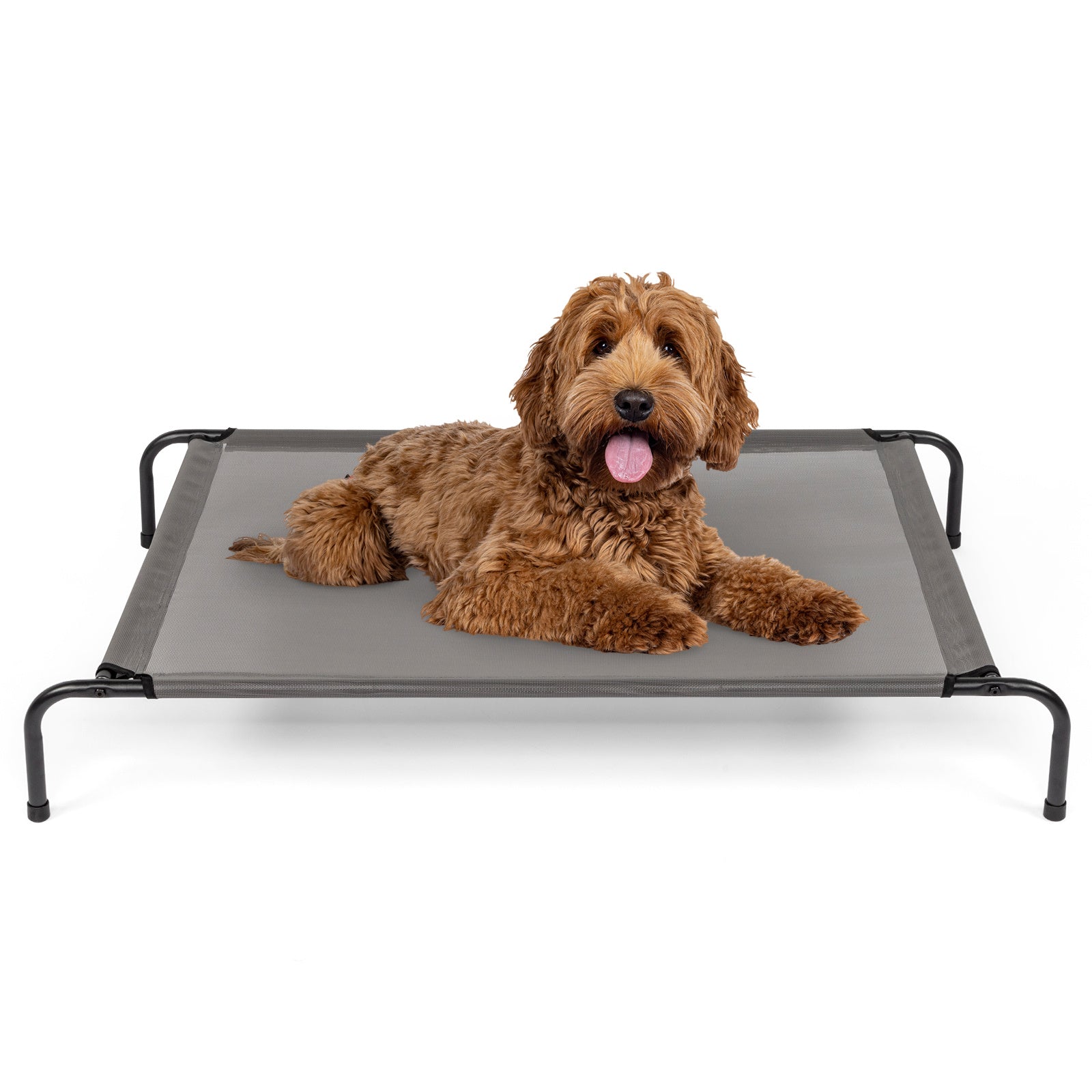 Pet Beds (Small)