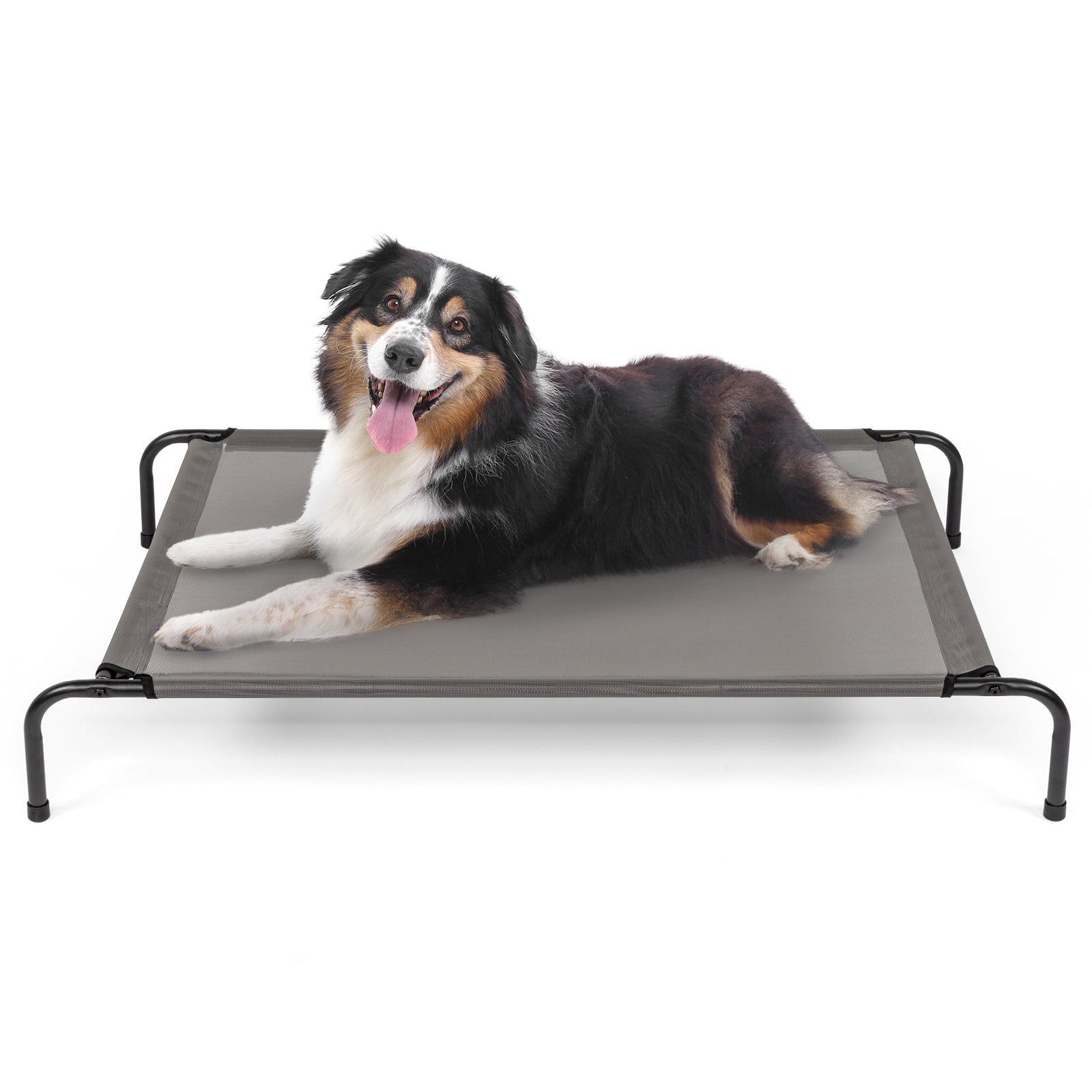 Pet Beds (Large)