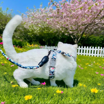Japanese Style Pet Harness And Leash Set Adjustable Vest For Cats And Small Dogs Safe Comfortable Stylish Outdoor Wear Handcrafted Luxury Gift