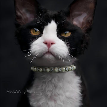 Luxury Pearl Pet Collar And Leash Set Handcrafted Necklace Style For Cats Small Medium Dogs Luxury Gift